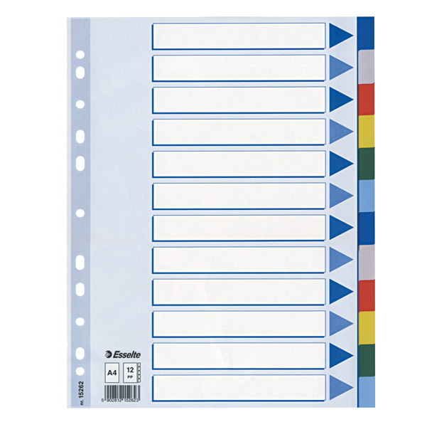 MD_45648 Separatore - 12 tasti colorati - PP - A4 - multicolore - Esselte - immagine 1