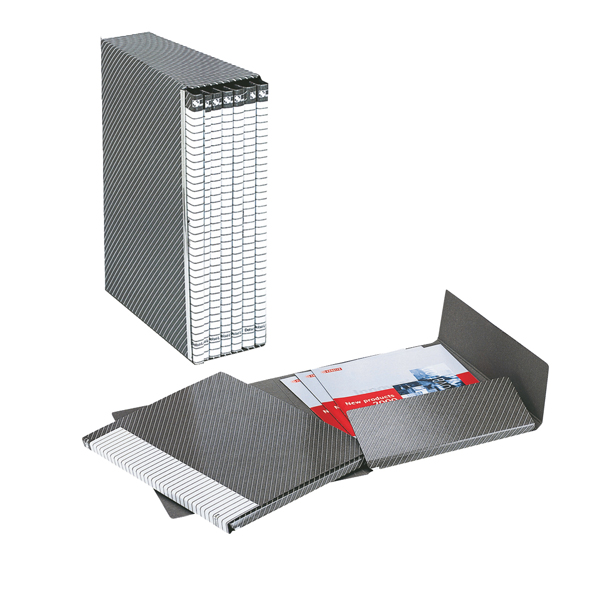 MD_47168 Gruppo Delso Line - 25 x 32 cm - 6 cartelle 2 lembi - con custodia - dorso 1,5 cm - grigio - Esselte - immagine 1