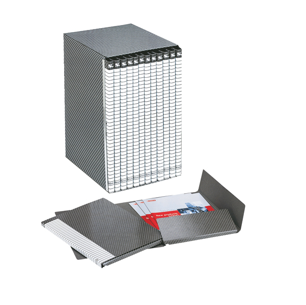 MD_50123 Gruppo Delso Line - 25 x 32 cm - 12 cartelle 2 lembi - con custodia - dorso 1,5 cm - Esselte - immagine 1