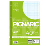 Ricambi forati rinforzati Pignaric - A4 -  4mm - 80gr - Pigna - conf. 40 pezzi