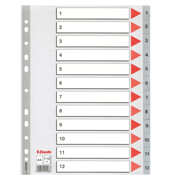 MD_59037 Separatore numerico 1/12 - PP - A4 - 22,5x29,7 cm - grigio - Esselte - immagine 1