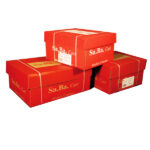 Carta in modulo continuo - 37,5 x 11 " - 2 copie - 53 gr - piste fisse - lettura facile grigio - Sabacart - conf. 1000 fogli