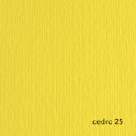 Cartoncino Elle Erre - 50 x 70 cm - 220 gr - cedro 25 - Fabriano - blister 20 fogli