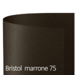 Cartoncino Bristol Color - 70 x 100 cm - 200 gr - marrone 75 - Favini - conf. 10 pezzi