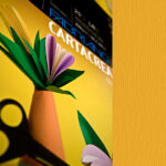 Cartoncino CartaCrea - 35 x 50 cm - 220 gr - avana - Fabriano -  blister 10 fogli