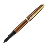 Penna stilografica Aldo Domani - punta M - fusto tabacco - Monteverde